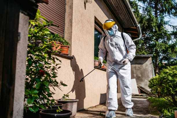 Reliable Cudahy, WI Pest Control Solutions