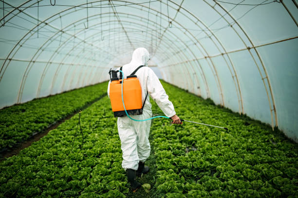 Best Pest Prevention Services  in Cudahy, WI