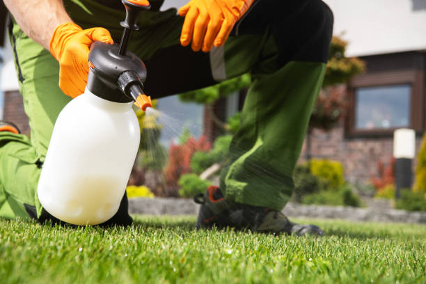 Best Flea Control Services  in Cudahy, WI