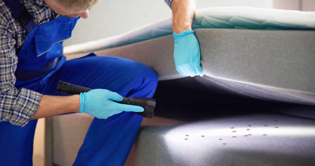 Pest Prevention Services in Cudahy, WI