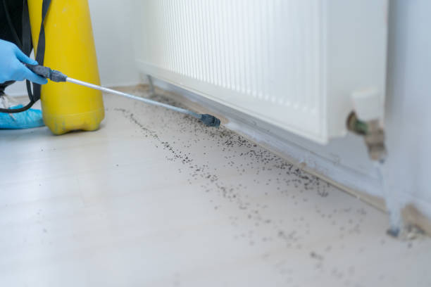 Best Pest Prevention Services  in Cudahy, WI