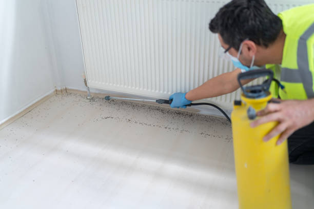 Best Exterminator Services  in Cudahy, WI