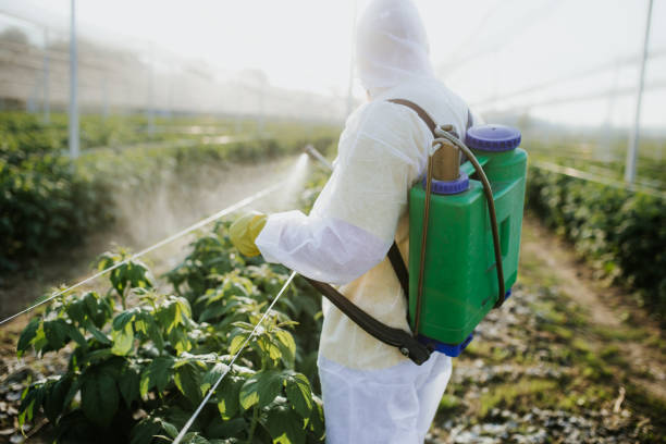 Flea Control Services in Cudahy, WI